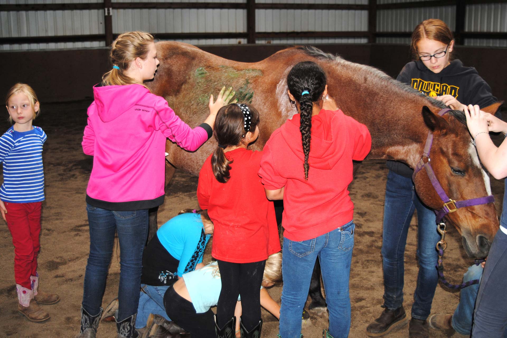 kids are painting a horse during summer camp